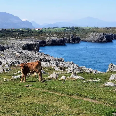 Casa La Venta De Pedro Tatil Evi *